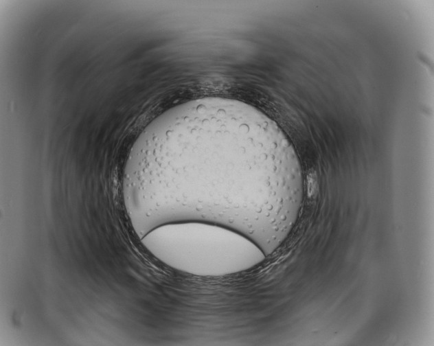 X0000098211011200804241057