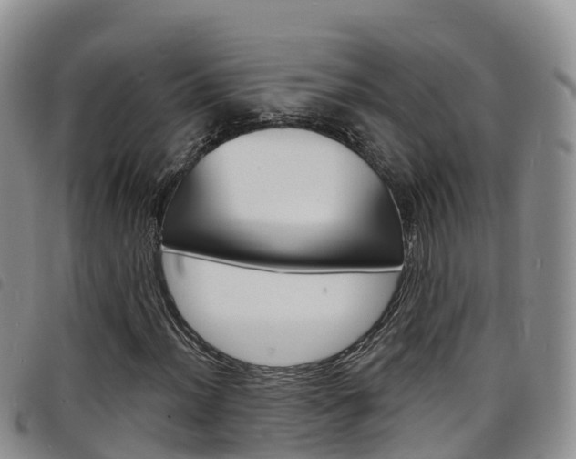 X0000098211012200804241057