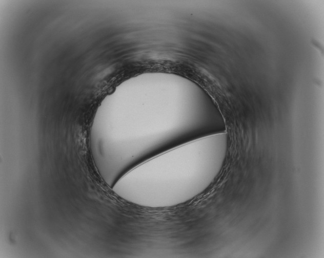 X0000098211013200804241057