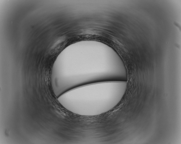 X0000098211014200804241057