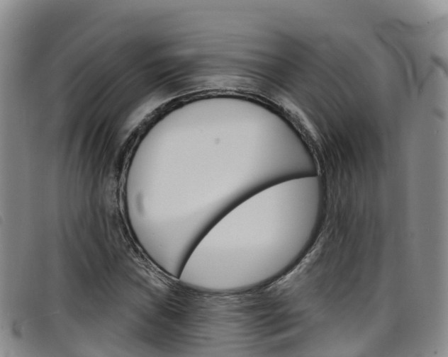 X0000098211019200804241057