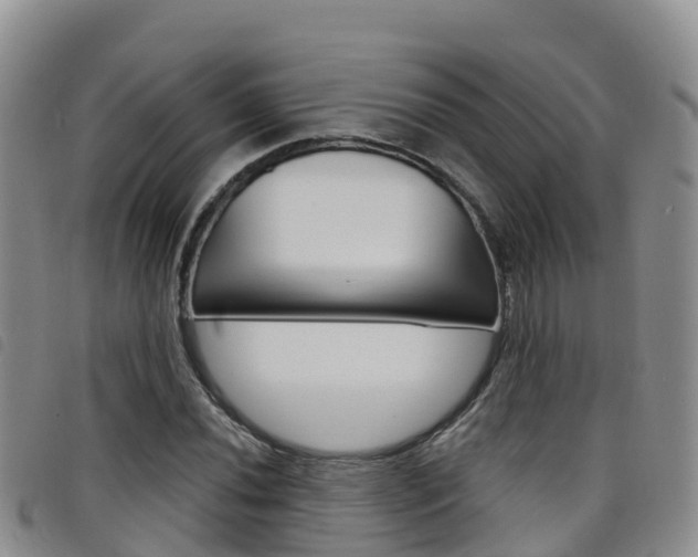 X0000098211020200804241057