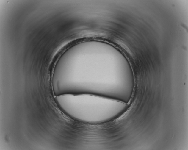 X0000098211021200804241057