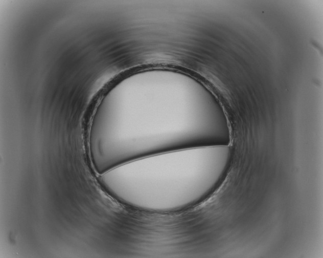 X0000098211022200804241057