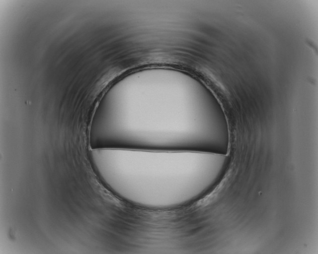 X0000098211025200804241057