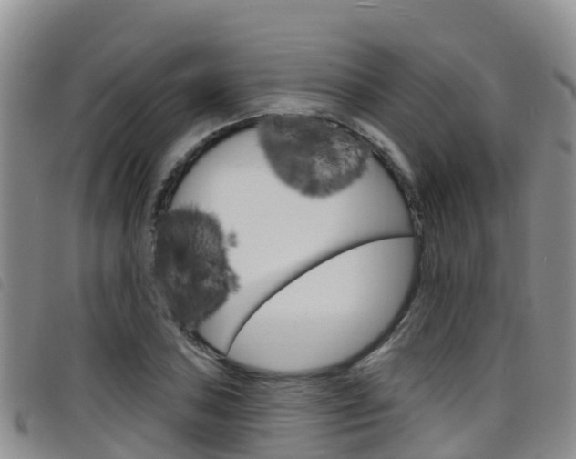 X0000098211027200804241057