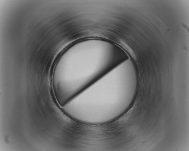 X0000098211028200804241057