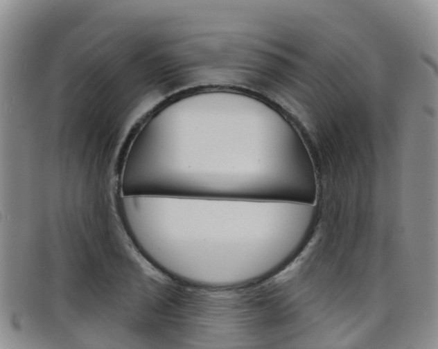 X0000098211029200804241057