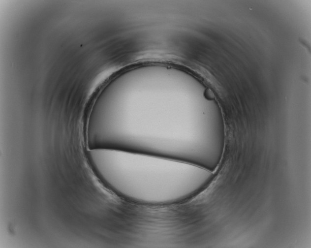 X0000098211030200804241057