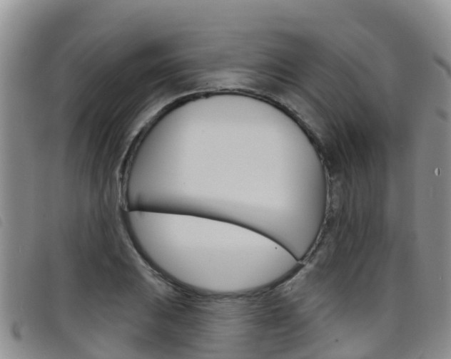 X0000098211031200804241057