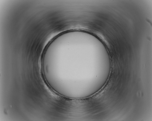 X0000098211032200804241057