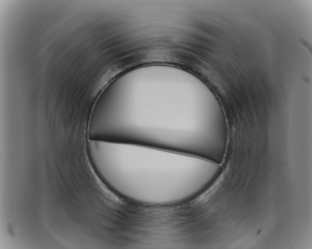 X0000098211033200804241057