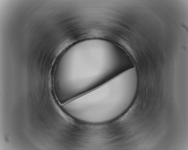 X0000098211034200804241057