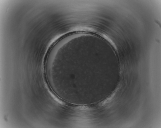 X0000098211037200804241057