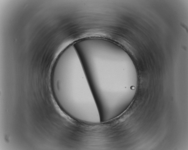 X0000098211038200804241057