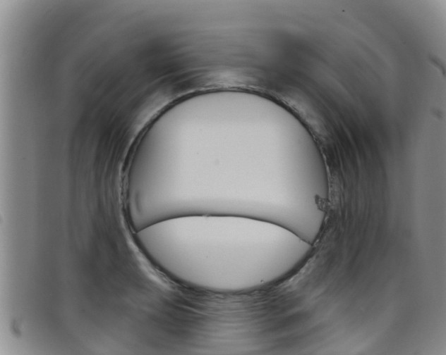X0000098211039200804241057