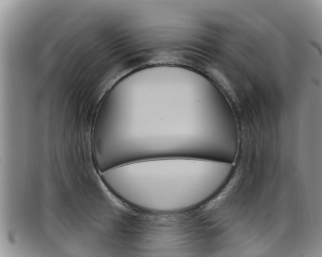 X0000098211041200804241057