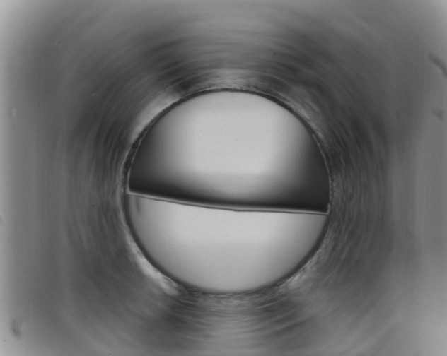 X0000098211042200804241057