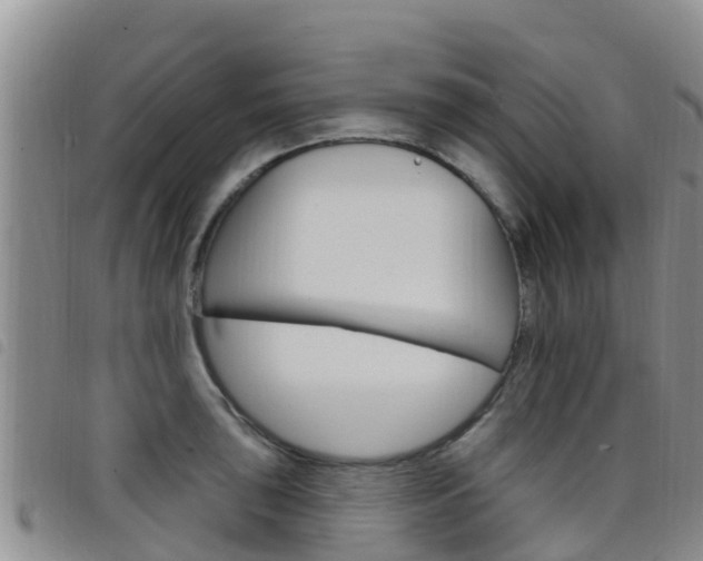 X0000098211043200804241057