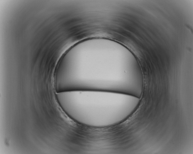 X0000098211044200804241057