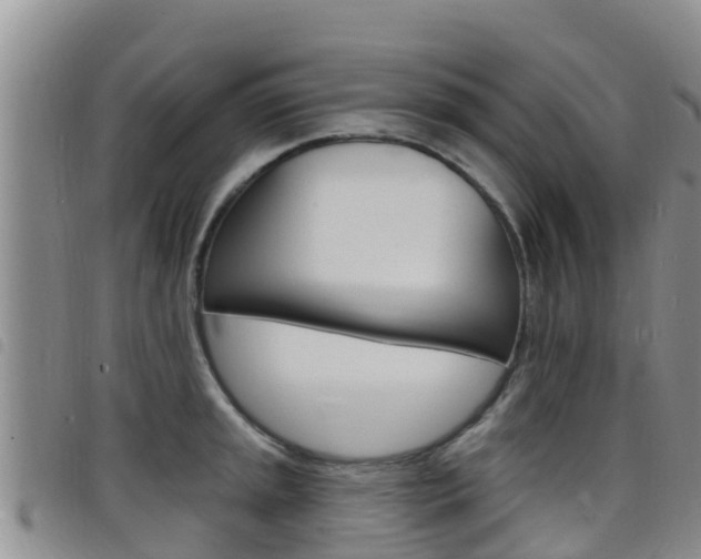 X0000098211045200804241057