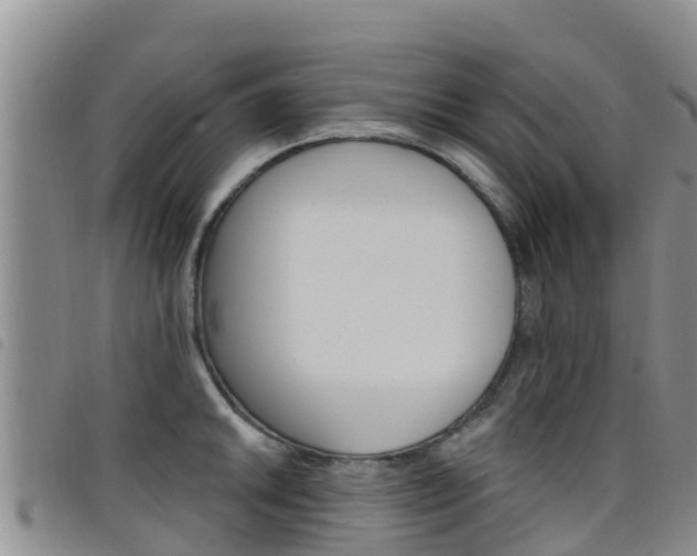 X0000098211046200804241057