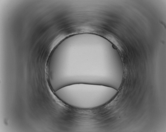 X0000098211047200804241057