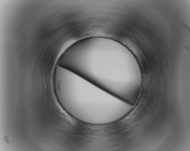 X0000098211048200804241057