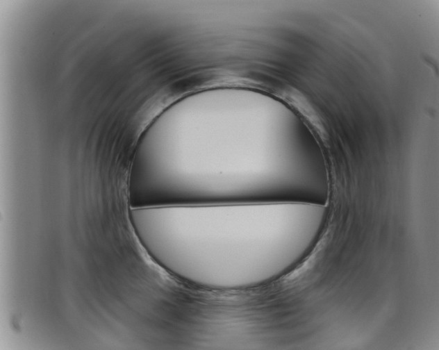 X0000098211049200804241057