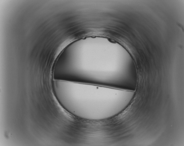 X0000098211050200804241057