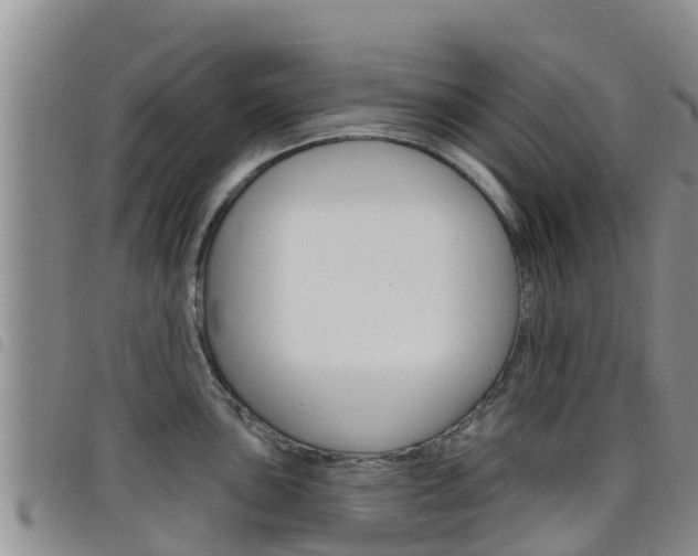 X0000098211051200804241057
