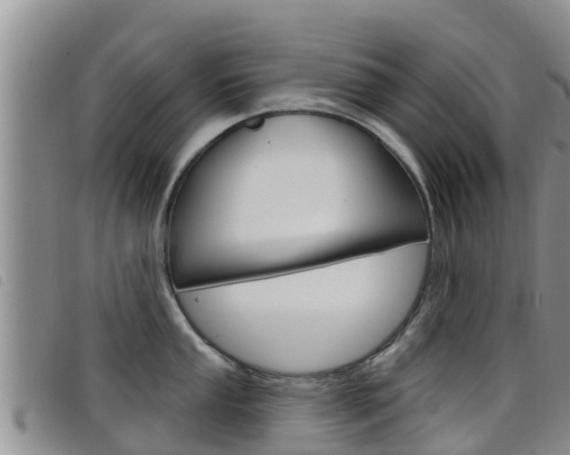 X0000098211053200804241057