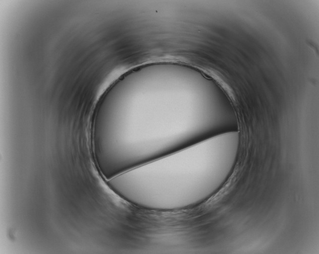 X0000098211054200804241057