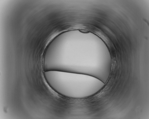 X0000098211055200804241057