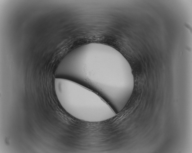 X0000098211058200804241056