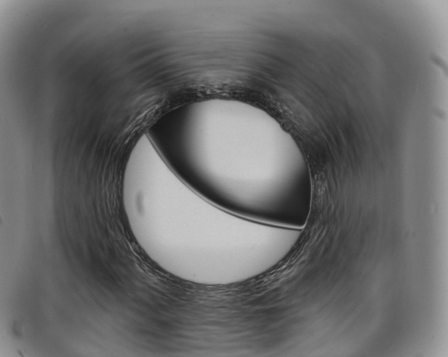X0000098211060200804241056
