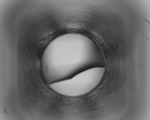 X0000098211061200804241056