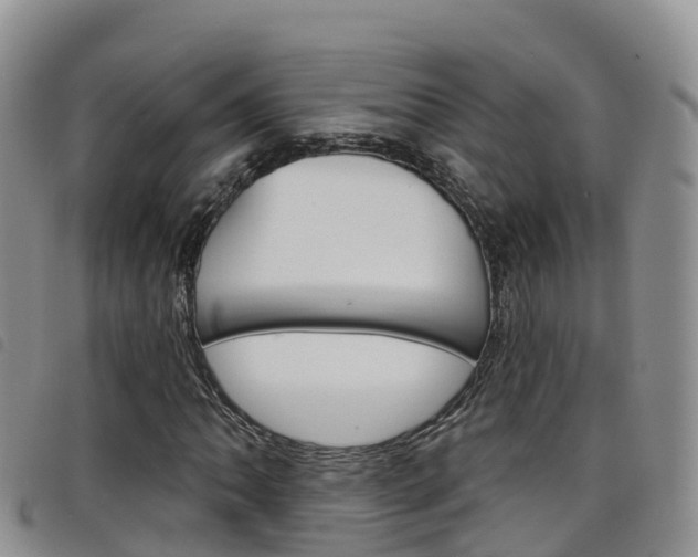 X0000098211062200804241056