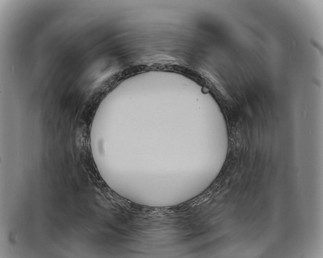 X0000098211063200804241056