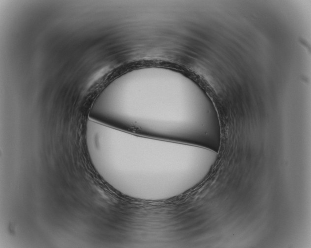 X0000098211064200804241056