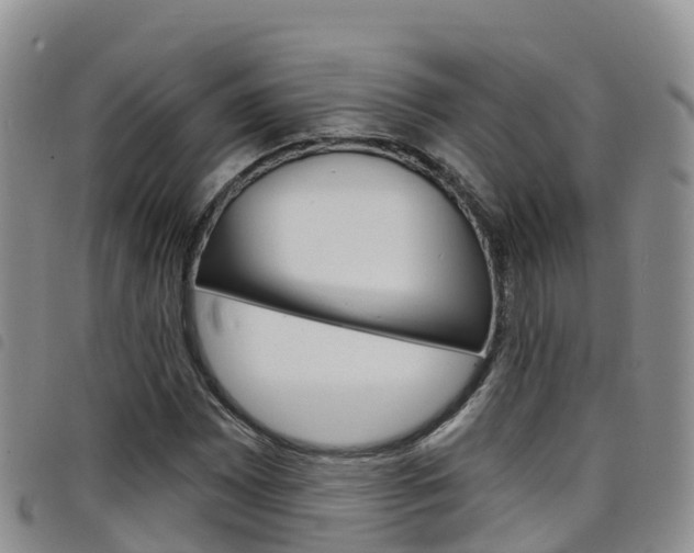 X0000098211065200804241056