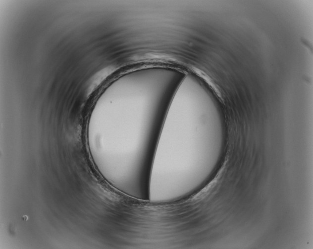 X0000098211066200804241056