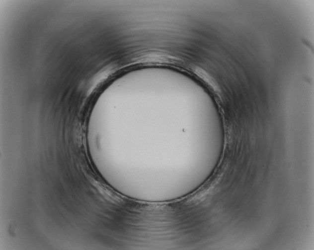 X0000098211067200804241056