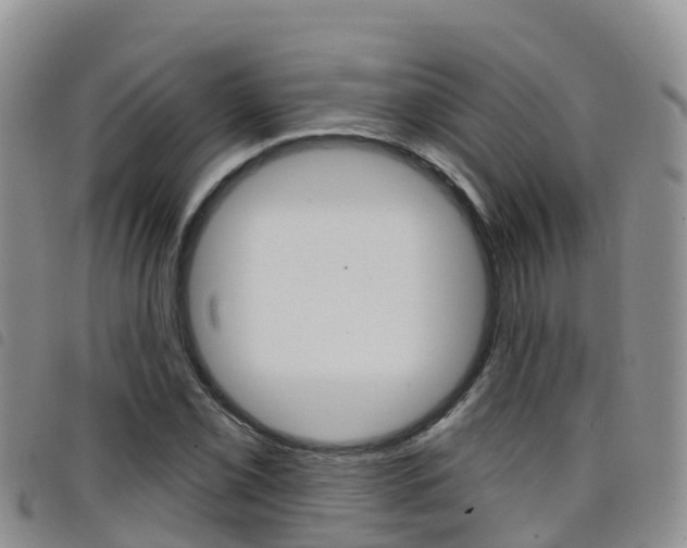 X0000098211069200804241056