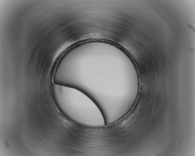 X0000098211070200804241056