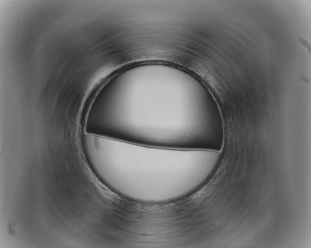 X0000098211072200804241056