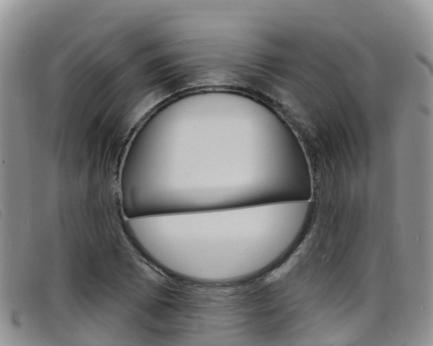 X0000098211073200804241056