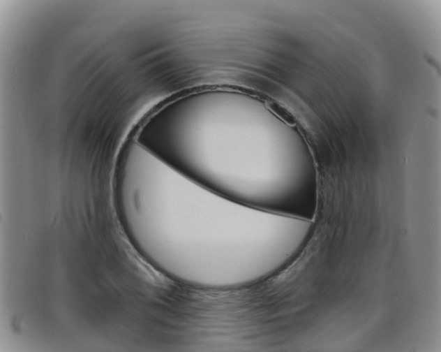 X0000098211076200804241056