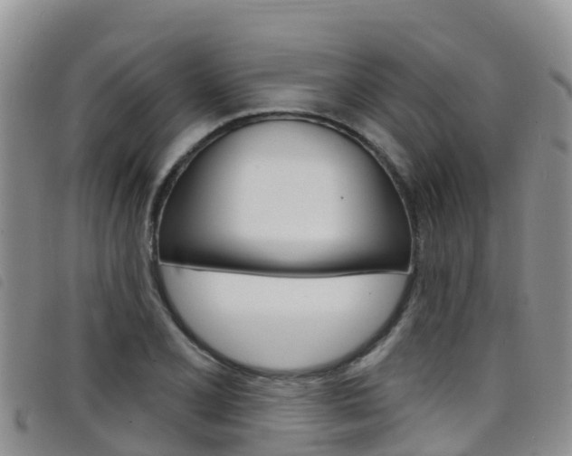 X0000098211077200804241056