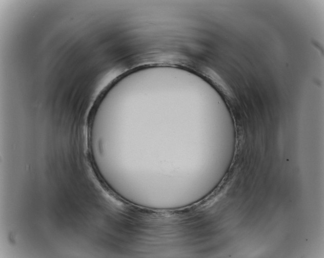 X0000098211079200804241056